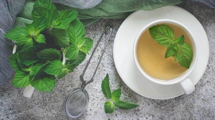 Basmi Jerawat yang Meresahkan dengan 6 Minuman Berikut 6 Basmi Jerawat yang Meresahkan dengan 6 Minuman Berikut