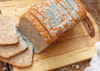 Upss... Gak Sengaja Makan Makanan Berjamur Picu Kanker?