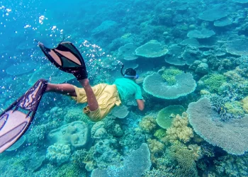 5 Rekomendasi Tempat Liburan Akhir Tahun Bersama Keluarga_womanindonesia.co.id