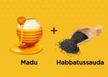 Gabungan Madu Habbatussauda Melindungi Daya Tahan Tubuh