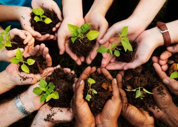 Hari Gerakan Satu Juta Pohon 2022_womanindonesia.co.id