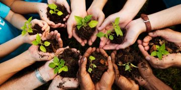 Hari Gerakan Satu Juta Pohon 2022_womanindonesia.co.id