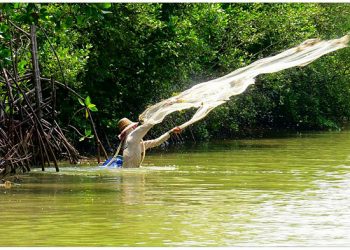 Sejarah Hari Lahan Basah Sedunia 2 Februari_womanindonesia.co.id