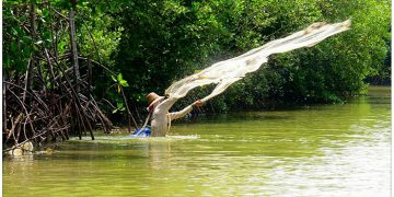 Sejarah Hari Lahan Basah Sedunia 2 Februari_womanindonesia.co.id