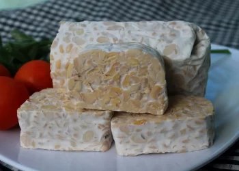 Kandungan Protein Tempe yang Perlu Diketahui_womanindonesia.co.id