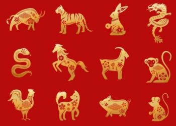 6 Shio yang Beruntung di Tahun Macan Air, Apakah Anda Termasuk?_womanindonesia.co.id