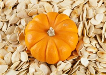 6 Manfaat Biji Labu Bagi Kesehatan yang Jarang Kita Ketahui_womanindonesia.co.id