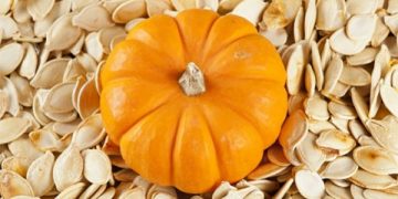 6 Manfaat Biji Labu Bagi Kesehatan yang Jarang Kita Ketahui_womanindonesia.co.id