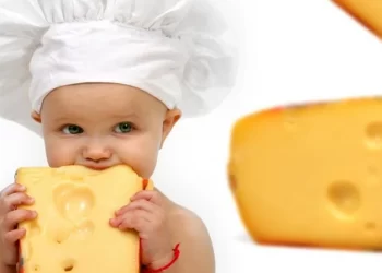 5 Manfaat Keju Bagi Kesehatan Anak_womanindonesia.co.id
