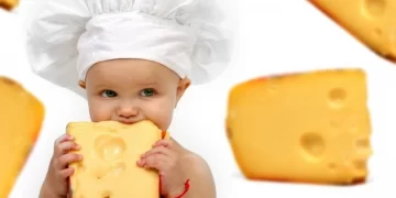 5 Manfaat Keju Bagi Kesehatan Anak_womanindonesia.co.id