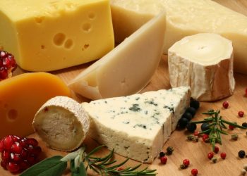 Berbagai jenis keju/ Canva