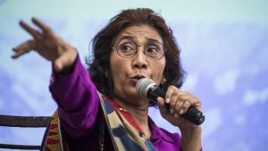 Pilot Susi Air Bongkar Syarat Pembebasan oleh OPM 2 Pemilik Susi Air - Womanindonesia.co.id