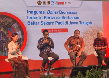 Boiler Biomassa Bahan Bakar Sekam Padi Upaya Mengurangi Jejak Karbon_womanindonesia.co.id