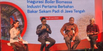 Boiler Biomassa Bahan Bakar Sekam Padi Upaya Mengurangi Jejak Karbon_womanindonesia.co.id