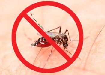 Hari Demam Berdarah Dengue ASEAN 15 Juni_womanindonesia.co.id