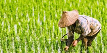 Sejarah Hari Krida Pertanian 21 Juni 2022_womanindonesia.co.id