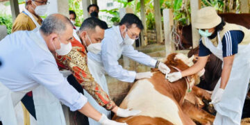 Sejarah Idul Adha dan Tradisi di Indonesia_womanindonesia.co.id