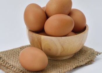 4 Ciri Telur yang Baik untuk Dikonsumsi_womanindonesia.co.id
