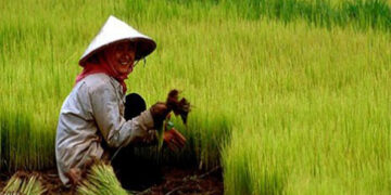 Hari Tani Nasional 2022: Tegakkan Konstitusionalisme Agraria yang Adil Gender_womanindonesia.co.id