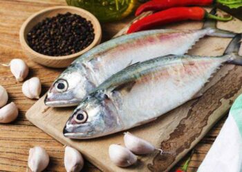 5 Manfaat Protein Ikan untuk Kesehatan Tubuh_womanindonesia.co.id
