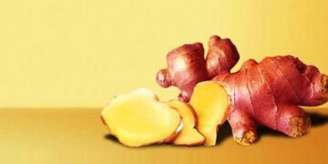 11 Manfaat Jahe Merah Memperbaiki Pencernaan Hingga Obati Kanker_womanindonesia.co.id