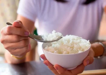 Rutin Makan Nasi Putih, Apakah Baik Bagi Kesehatan?_womanindonesia.co.id