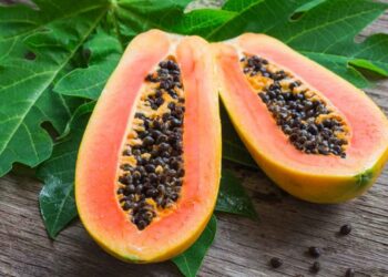 7 Makanan untuk Meningkatkan Trombosit Saat Demam Berdarah_womanindonesia.co.id