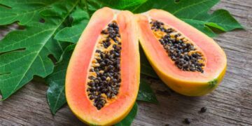 7 Makanan untuk Meningkatkan Trombosit Saat Demam Berdarah_womanindonesia.co.id