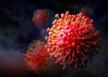 Virus Marburg - Womanindonesia.co.id