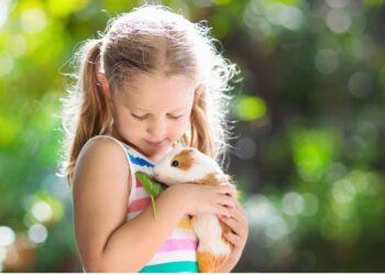 Ilustrasi seorang anak - Womanindonesia.co.id