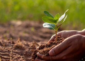 Hari Pohon Sedunia 2022: Manfaat Pohon Terhadap Dampak Lingkungan_womanindonesia.co.id