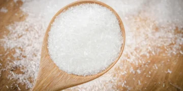 Cara Aman Penggunaan MSG Bagi UMKM_womanindonesia.co.id