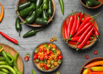 Harga cabai menjelang Ramadhan - Womanindonesia.co.id