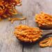 manfaat Jamur Cordyceps untuk tubuh - Womanindonesia.co.id