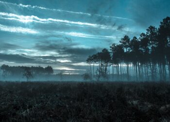 BMKG angkat suara mengenai BRIN yang sebut perpanjangan musim hujan - Womanindonesia.co.id