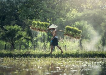 Sawah di Jawa Timur diterjang banjir - Womanindonesia.co.id