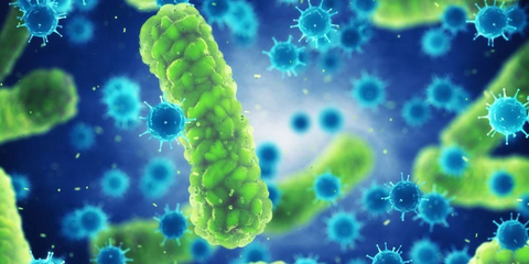 Telah Teruji Lab, Generos Bebas Dari Cemaran Mikroba Patogen Berbahaya 2 Telah Teruji Lab, Generos Bebas Dari Cemaran Mikroba Patogen Berbahaya_Womanindonesia.co.id