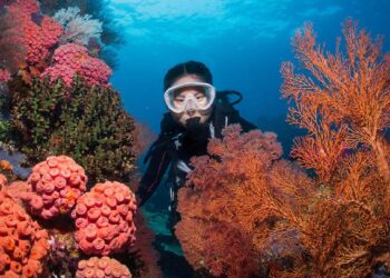 Jelajahi “Surga Tersembunyi” di Indonesia Timur dengan Rute Baru Transnusa_Womanindonesia.co.id