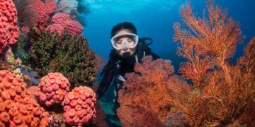 Jelajahi “Surga Tersembunyi” di Indonesia Timur dengan Rute Baru Transnusa_Womanindonesia.co.id