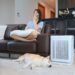 Tips Memilih Air Purifier Pet-Friendly untuk Udara Segar di Rumah 9 Tips Memilih Air Purifier Pet-Friendly untuk Udara Segar di Rumah_womanindonesia.co.id