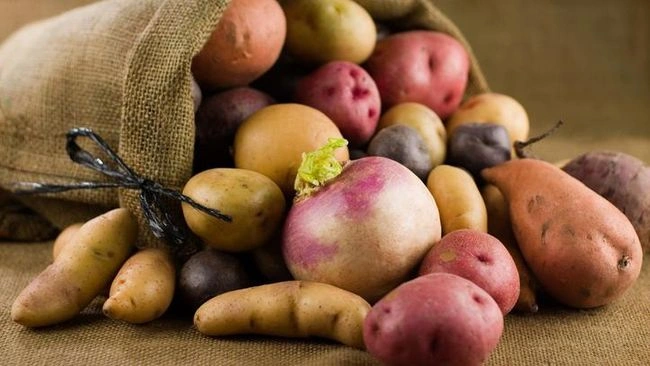 5 Makanan Penambah Stamina Berhubungan Intim 3 Wah, Ini 5 Asupan Super Agar Kuat Bercinta!_Womanindonesia.co.id