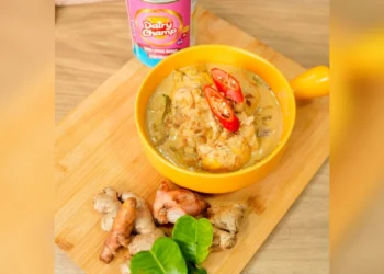 Rahasia Masak Opor Lebaran Tanpa Santan yang Tetap Gurih, Creamy, dan Rendah Kolesterol_Womanindonesia.co.id