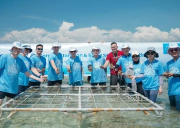 Transformasi Biru dari Pulau Tidung Kecil: Midea Menyemai Harapan Lewat Laut dan Komunitas_Womanindonesia.co.id