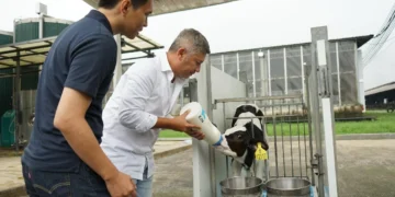 Mengenal Susu A2 dan Manfaatnya untuk Kesehatan_Womanindonesia.co.id