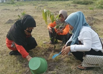 Dorong Ekowisata Berkelanjutan, KWT Mekar Rejeki Hijaukan Embung Sendangtirto_Womanindonesia.co.id
