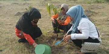 Dorong Ekowisata Berkelanjutan, KWT Mekar Rejeki Hijaukan Embung Sendangtirto_Womanindonesia.co.id