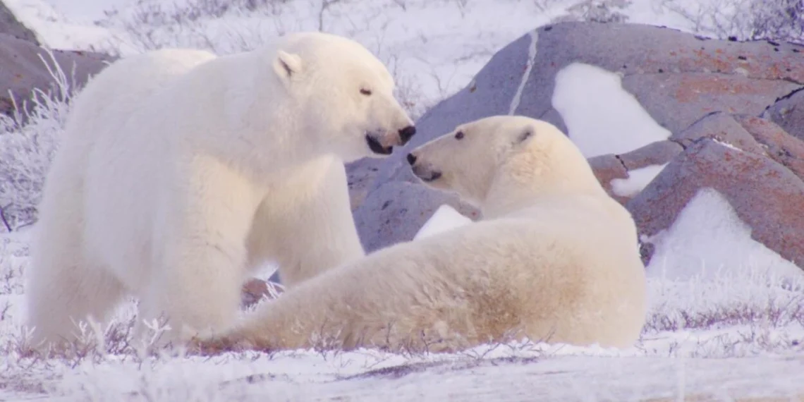 Deretan Tontonan Seru September–Oktober 2025: Dari Romansa hingga Horor_Womanindonesia.co.id