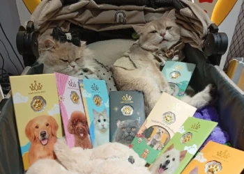 Ketika Cinta pada Anabul Diabadikan dalam Emas: Koleksi “Bestie” dan “Pawmates” dari HRTA Gold 14 Ketika Cinta pada Anabul Diabadikan dalam Emas: Koleksi “Bestie” dan “Pawmates” dari HRTA Gold_Womanindonesia.co.id