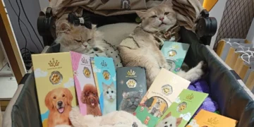 Ketika Cinta pada Anabul Diabadikan dalam Emas: Koleksi “Bestie” dan “Pawmates” dari HRTA Gold_Womanindonesia.co.id